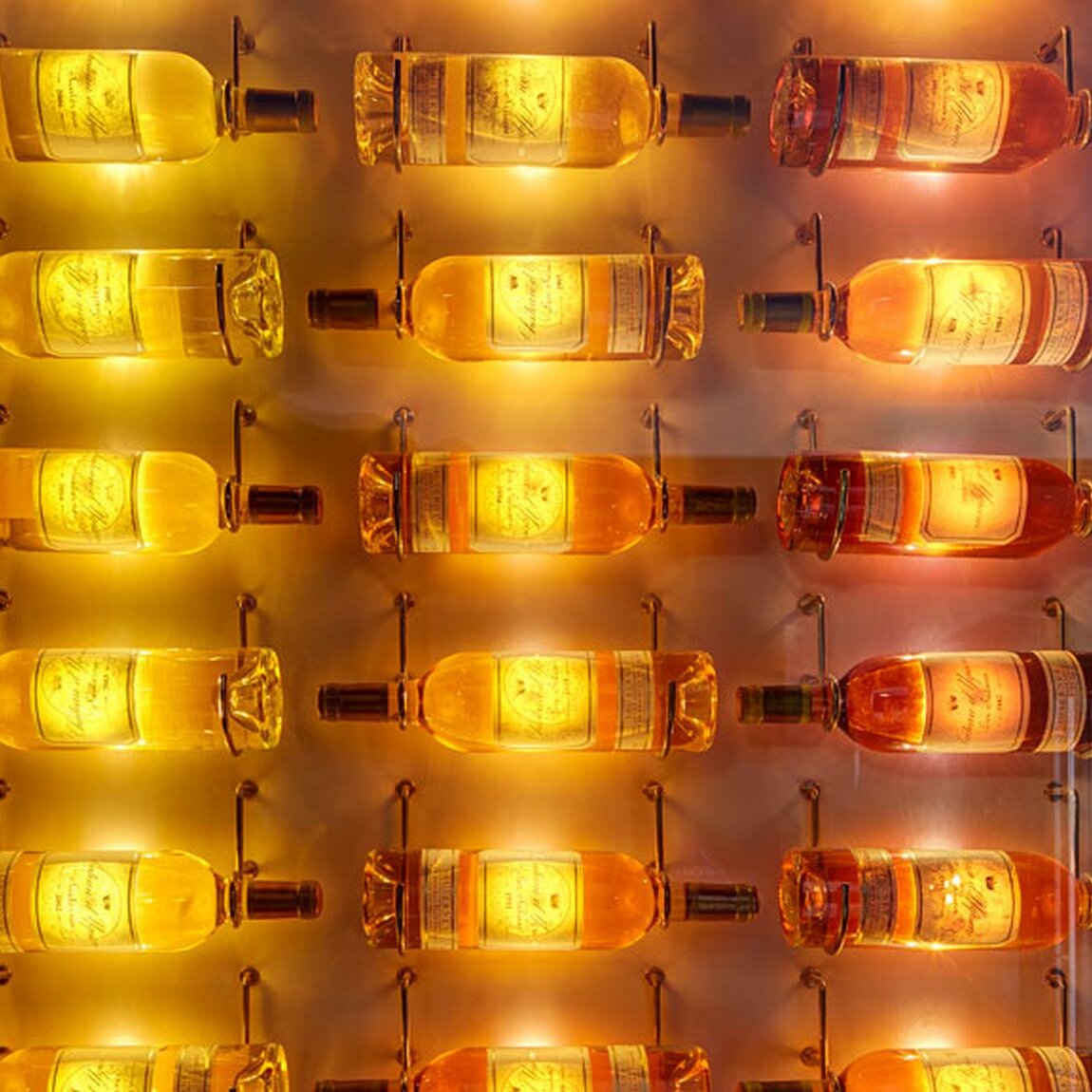 Wine cellar – Château d'Yquem